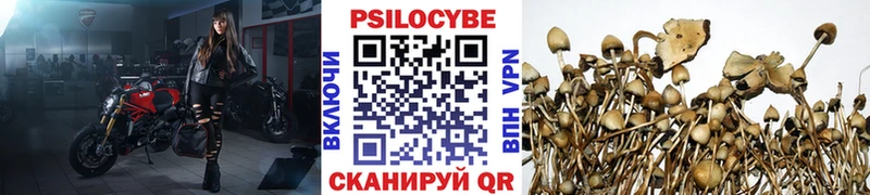 Псилоцибиновые грибы мухоморы  купить наркотик  сайты даркнета формула  Медвежьегорск 